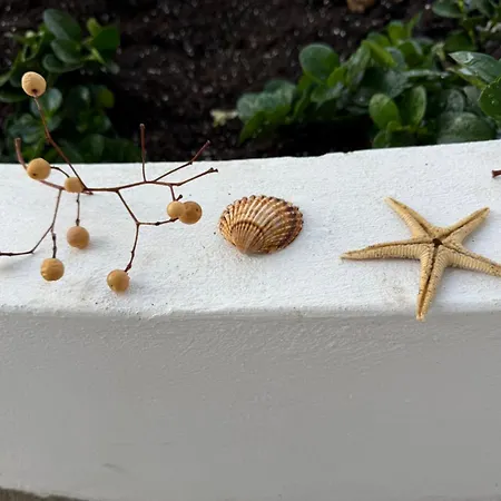 White Sea 招待所 卡瓦拉