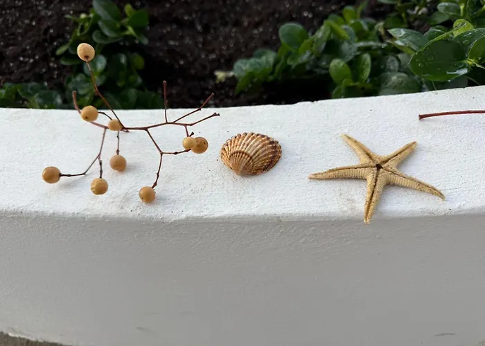 White Sea Πανσιόν Καβάλα